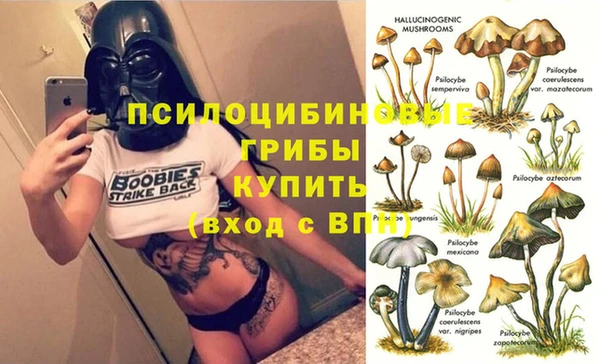 прущий лед Арсеньев
