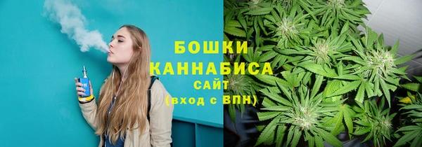 каннабис Аркадак