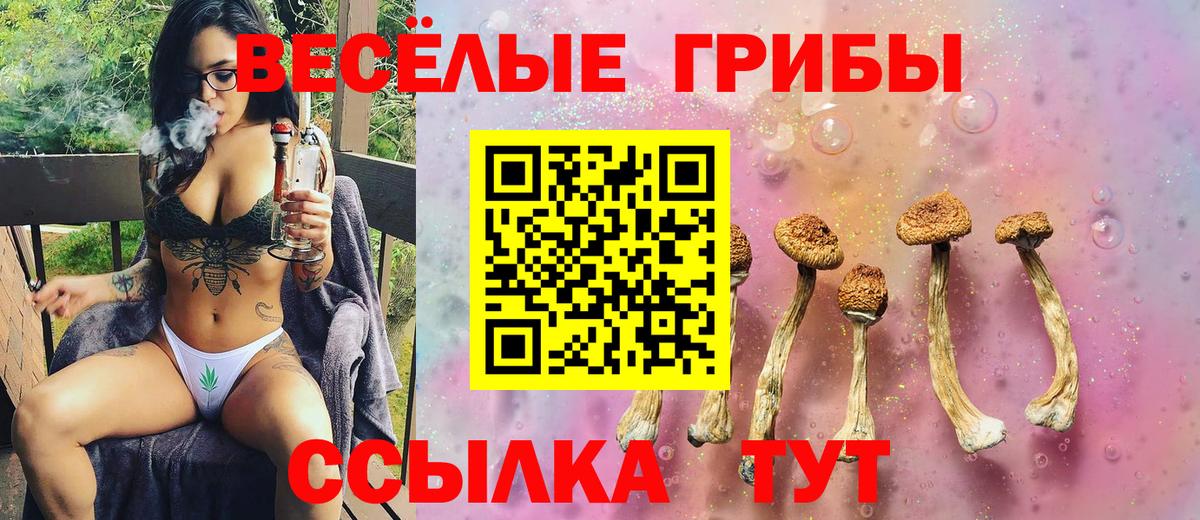 Арзамас  Галлюциногенные грибы Psilocybe  Вход с VPN 